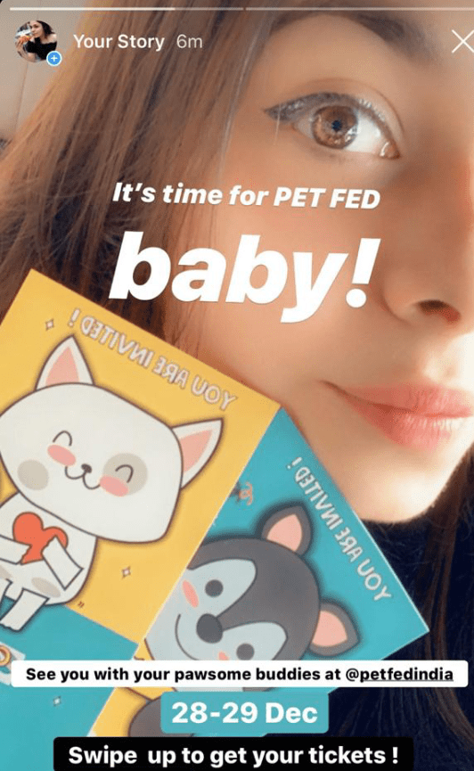 Pet Fed Influencer Marketing Case Study