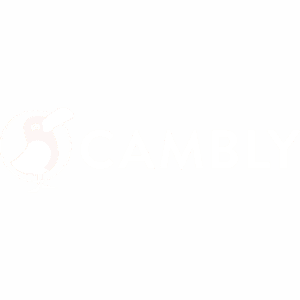 cambly case study