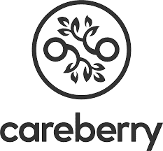 Careberry Influencer Marketing Collaboration